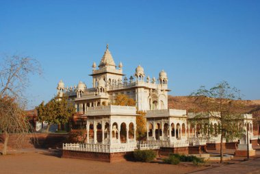 Jaswant Thada ve kraliyet mezarları ve öndeki ağaç, Jodhpur, Rajasthan, Hindistan