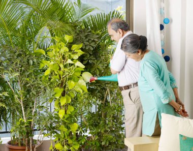 Yaşlı çiftler sulama bitkileri 