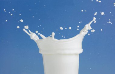 Mavi arkaplanda sütün sıçrama görüntüsü