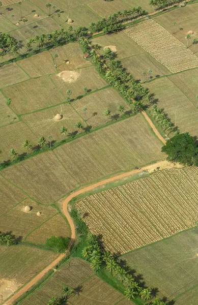 Ekinlerin ve ekilmemiş tarlaların havadan görünüşü, Andhra Pradesh, Hindistan