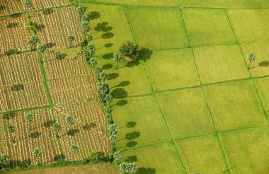 Ekinlerin ve ekili tarlaların havadan görünüşü, Andhra Pradesh, Hindistan