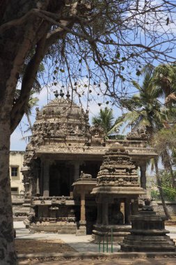 Swargeshwara Tapınağı, chola dönemi, Kanchipuram bölgesi, Tamil Nadu, Hindistan