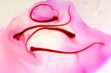 Baharatlar, lavanta arkaplanındaki sudaki safran ipliği