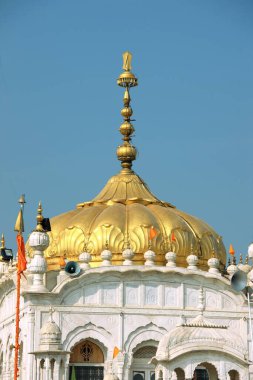 Nanded Maharashtra Hindistan 'da Gurudwara Hazoor Sahib SachKhand Altın Kubbeleri 