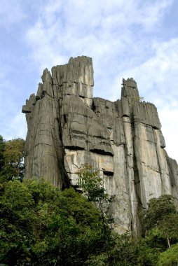 Yana Ormanı 'nda kaya oluşumu, Kuzey Kanara, Karnataka, Hindistan