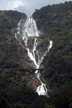 Maharashtra Hindistan Asya 'da Goa' da Dudhsagar şelaleleri