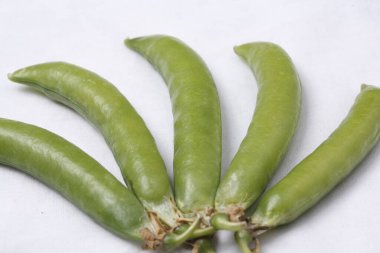 beyaz zemin üzerine yeşil bezelye