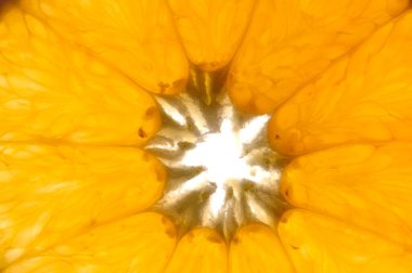 beyaz zemin üzerinde bir portakal dilim