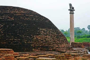 Ashoka Sütunu, Kolhua, Vaishali, Bihar, Hindistan