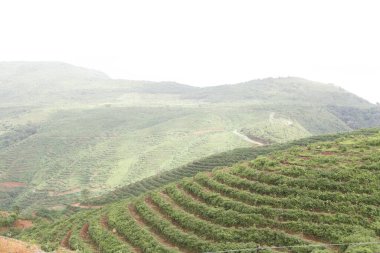 Hill and mountain range from Amboli Ghat, Sindhudurga, Maharashtra, India  clipart