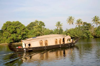 Lüks yüzen ev ve Hindistan cevizi ağaçları Backwaters, Alleppey, Kerala, Hindistan