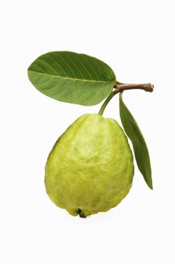 Olgun yeşil guava, yakın çekim görüntüsü