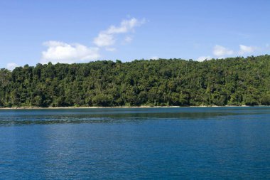 Andaman Hindistan Asya 'daki Kuzey Körfezi Adası 
