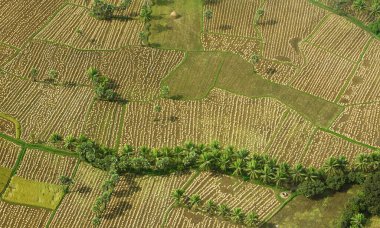 Ekinler için hava manzarası, Andhra Pradesh, Hindistan 