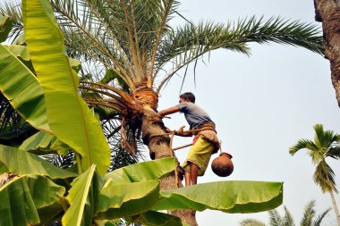 Tatlı yapmak için meyve suyu topluyorum.
