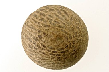  Beyaz arka planda betel fındığı (ayrıca areca nut olarak da bilinir)