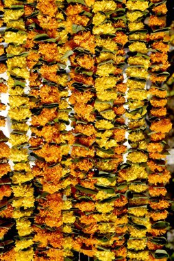 Mangolu çiçekler çelenk yaprakları zandu portakalı 