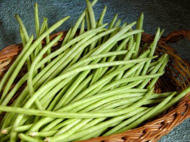 Cowpea , Chavali Shenga bhaji green vegetable in basket , India clipart