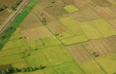 Ekinlerin ve ekili tarlaların havadan görünüşü, Andhra Pradesh, Hindistan