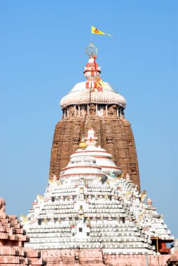 Tanrı Krishna Baldev Subhadra, Puri, Orissa, Hindistan 'a adanmış Jagannathpuri tapınağı.