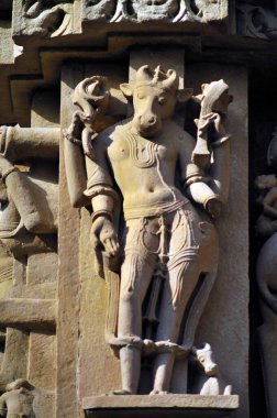 Nandi, Chitragupta Tapınağı 'nın duvarında Khajuraho madhya pradesh Hindistan