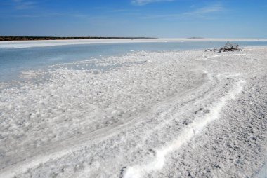 Tuz kalıntısı, Büyük Kutch Çiftliği, Kutch, Gujarat, Hindistan