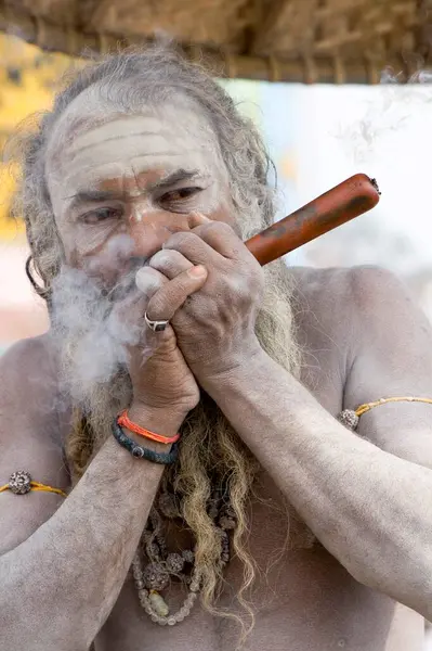 stock image Hindu saint naga baba Shivdasgiri smoking tobacco in Varanasi on Ganga river , Uttar Pradesh , India MR707A