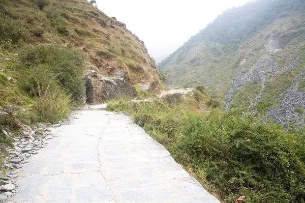 Bhagsu Mcleod Ganj, Himachal Pradesh, Himalaya, Hindistan yakınlarındaki şelaleye giden yol.