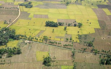 Ekinlerin ve ekili tarlaların havadan görünüşü, Andhra Pradesh, Hindistan