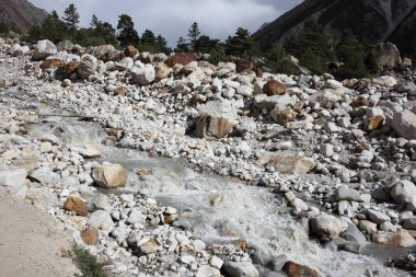 Bhagirathi Nehri Gangotri Uttarakhand Hindistan Asya