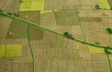 Ekinler için hava manzarası, Andhra Pradesh, Hindistan 