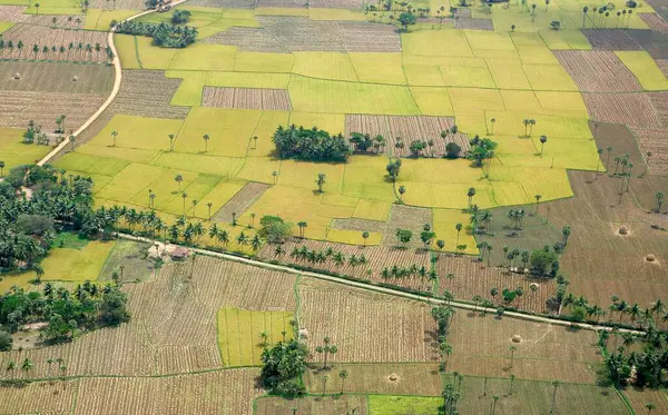 Ekinlerin ve ekili tarlaların havadan görünüşü, Andhra Pradesh, Hindistan