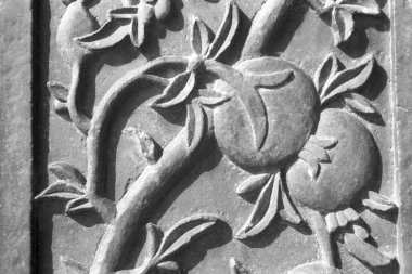 oyma duvarı, Fatehpur, sikri, uttar pradesh, Hindistan, Asya 