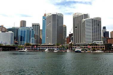 skylines darlington harbour sydney australia 