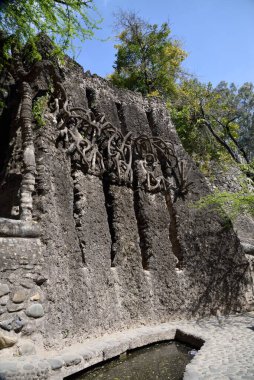 Kaya bahçesi, Chandigarh, Haryana, Hindistan, Asya