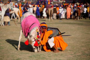 Hindistan 'ın Rupnagar bölgesindeki Anandpur sahib' de düzenlenen Hola Mohalla kutlamasında tüfekli ve atlı Nihang veya Sih savaşçısı 