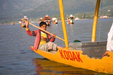 Boy rowing shikara in  dal lake Srinagar ; Jammu and Kashmir ; India clipart