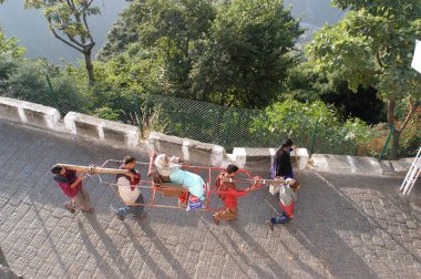 Yaşlı hacılar, Mata 's Bhawan' a tırmanmak ya da inmek için tahtırevan kiralarlar. Mata Vaishnodevi mağarası, Katra, Jammu, Hindistan 'da 5200 feet yüksekliktedir. 