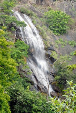 Coonoor yakınlarında bir şelale; Nilgiris; Tamil Nadu; Hindistan