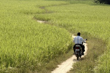 Bisiklet süren adam, Carm Dakash Project, Bilaspur, Chhattisgarh, Hindistan 