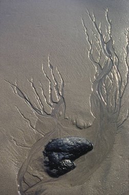 Doğa Yakından Kayalar ve Kum, Kashid Sahili, Maharashtra, Hindistan