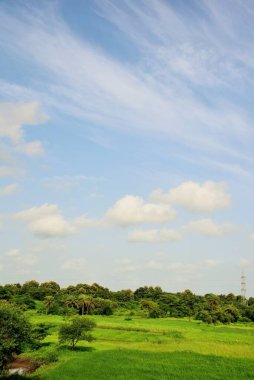 Manzara, Chharwada, Valsad, Gujarat, Hindistan, Asya 