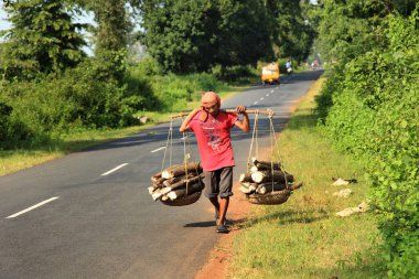 Sambalpur Orissa Hindistan 'da odun taşıyan bir adam. 