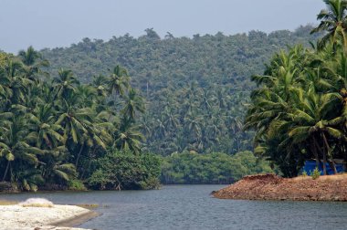 Khavane plajı, sindhudurg, Maharashtra, Hindistan, Asya