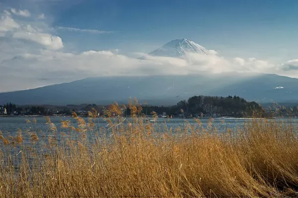 stock image Kawaguchi lake near mount fuji, japan