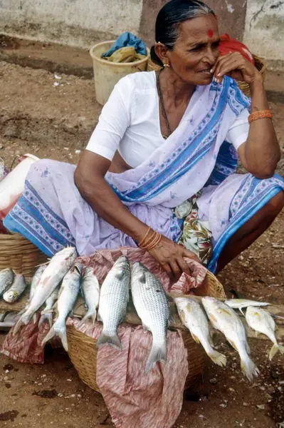 Woman selling Fishes in fish market ; goa ; india