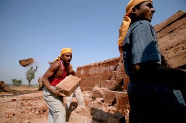 Sangli, Maharashtra, Hindistan 'daki tuğla fabrikasında tuğla döşeyen bir işçi.