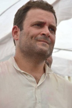 Hindistan Ulusal Kongresi Partisi, politikacı, Rahul Gandhi, Rajasthan, Hindistan, Asya