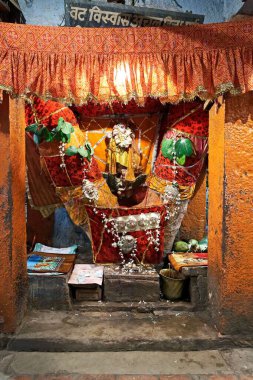 Akshayavat kutsal incir ağacı, Uttar Pradesh, Hindistan, Asya 