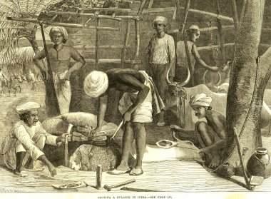 Hayvan avlama, öküz nallama, Hindistan 